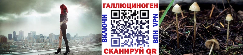 Галлюциногенные грибы Psilocybine cubensis  Братск 
