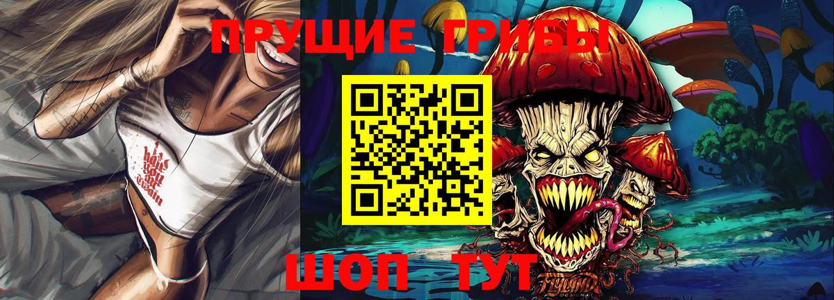 Псилоцибиновые грибы Psilocybine cubensis Братск